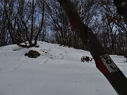 69 Rientro alla Forcella Alta seguendo la variante del 571 del Monte Picchetto 